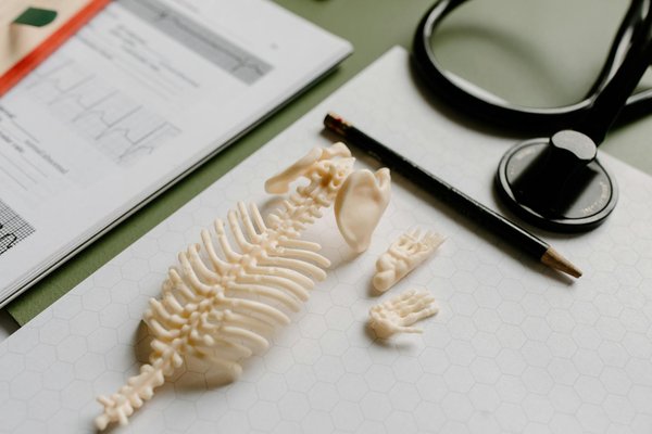 Les 5 Techniques Essentielles de Physiothérapie à Explorer Absolument